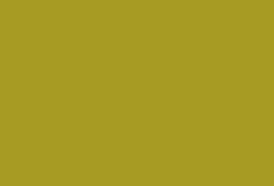 Gold - 810